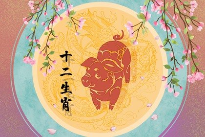 属猪的今年多大了2024岁数表 哪年出生