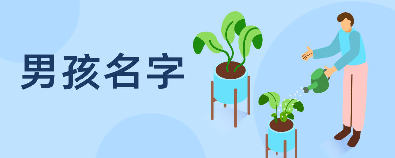 2025属蛇男孩名字最佳用字